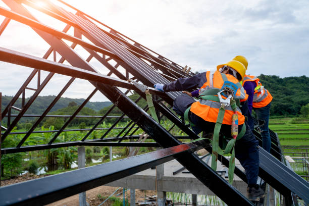 Best Storm Damage Roof Repair  in Dalhart, TX