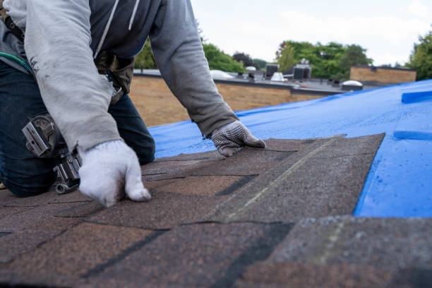 Best Storm Damage Roof Repair  in Dalhart, TX
